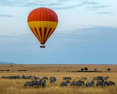 Hot air balloons over the Masai Mara at sunrise