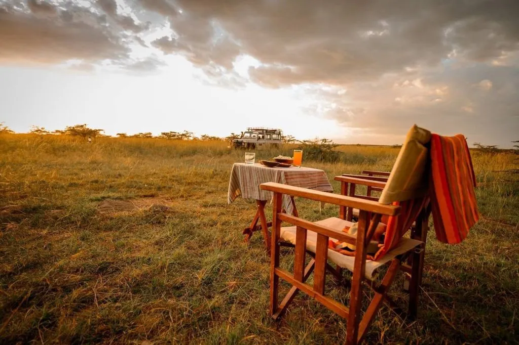 Golden light over the plains during a sundowner game drive