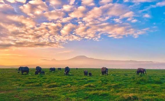 Sunrise over Mount Kilimanjaro seen from Amboseli