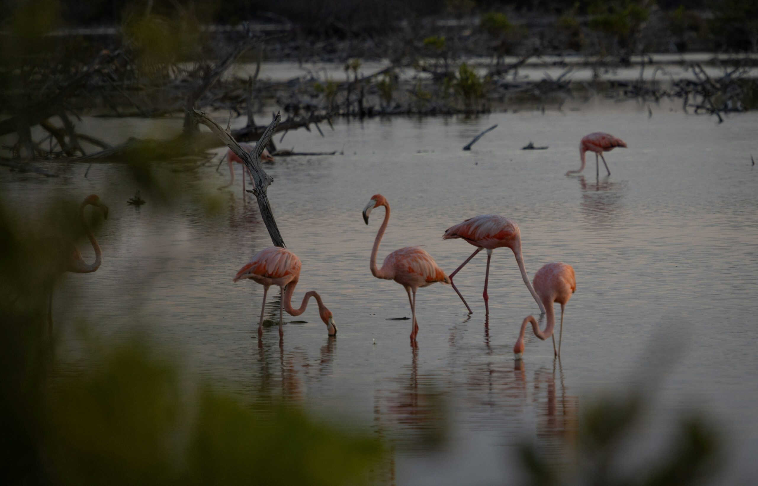 Lake Nakuru Safari, Kenya